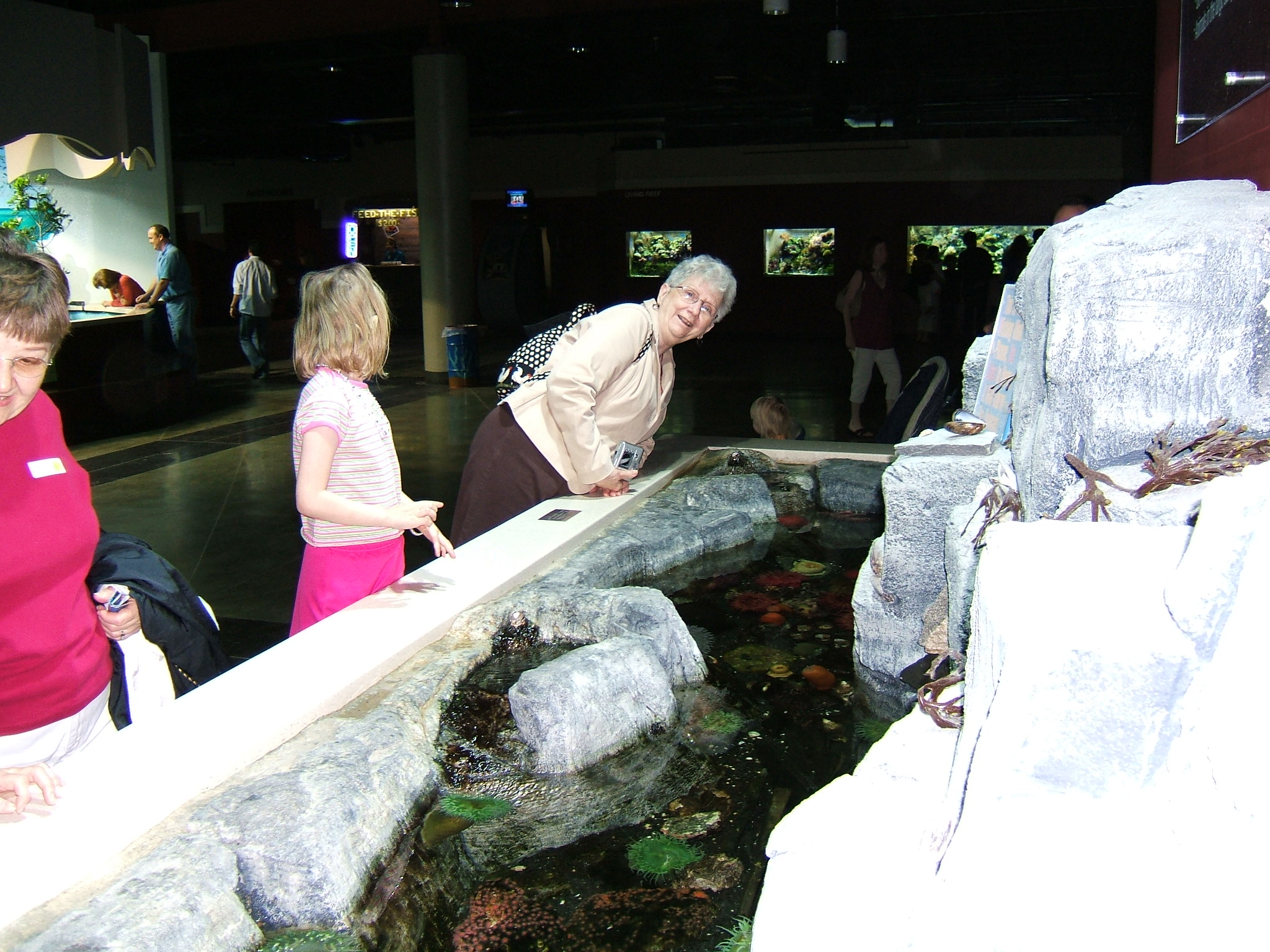 Vivian inspecting the display