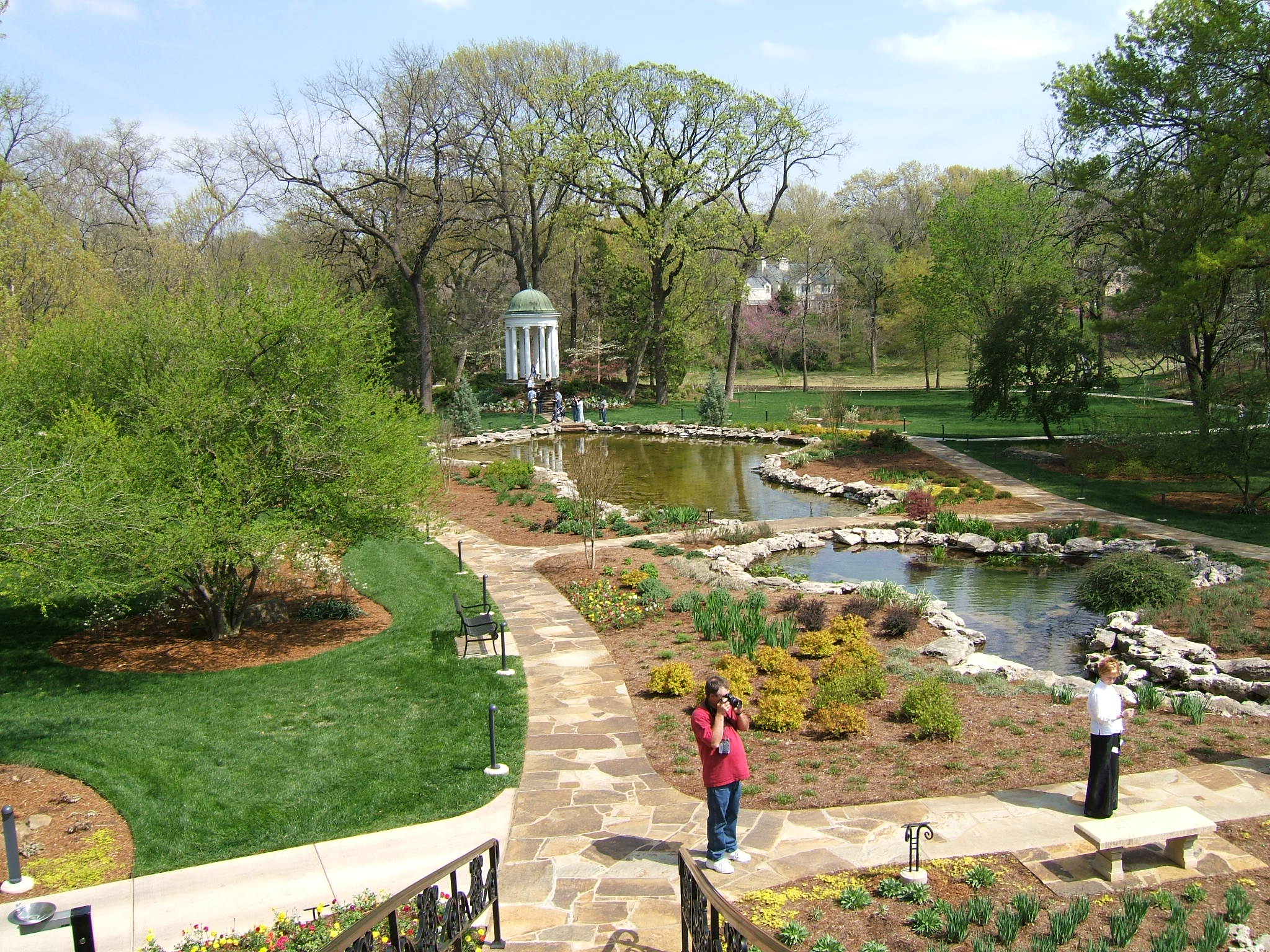 View of the garden